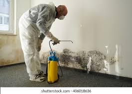 Trusted Newberry, SC Mold Prevention & Removal  Experts